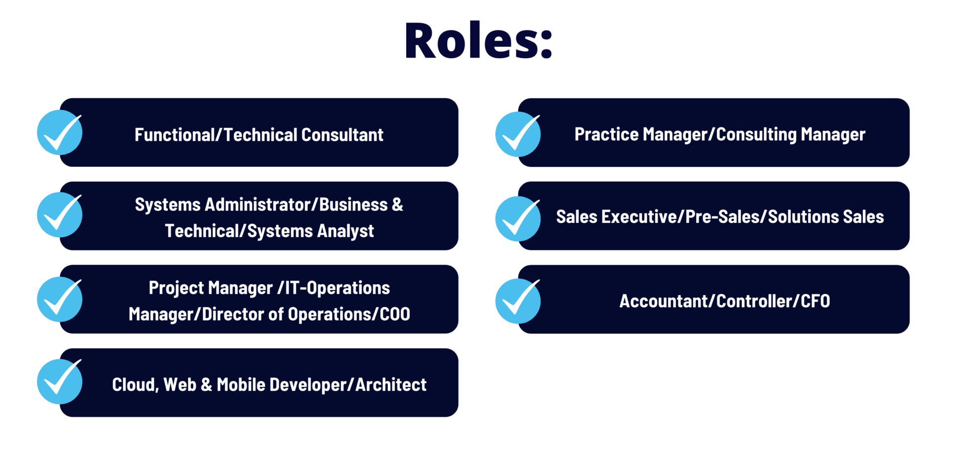 ERP Functional Consultant, Systems Administrator, Business Analyst, Project Manager, IT Manager, Developer, Architect, Sales Executive, Accountant, Controller, CFO